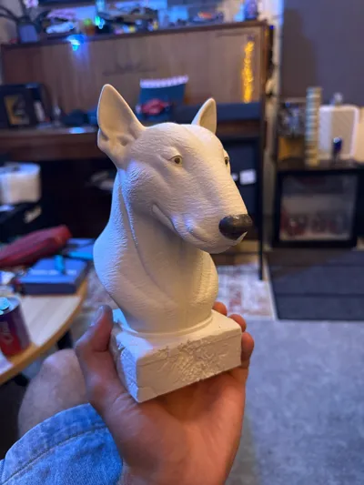 https://makerworld.bblmw.com/makerworld/model/1467206/1530919/ratings/9ee05a20-7459-11f0-a25a-698f1bc97fb8.jpg