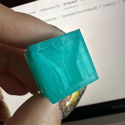 https://makerworld.bblmw.com/makerworld/model/14695/14506/ratings/5b22f2a0-3725-11f0-8c7c-f3a93a7e0cf3.jpg
