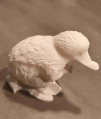 https://makerworld.bblmw.com/makerworld/model/1470268/1747298/ratings/48423150-bb0a-11f0-bee8-d996700758f7.jpg