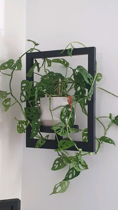 https://makerworld.bblmw.com/makerworld/model/1472099/1538258/ratings/4b1d1480-7b81-11f0-802a-7b94ff160044.jpg