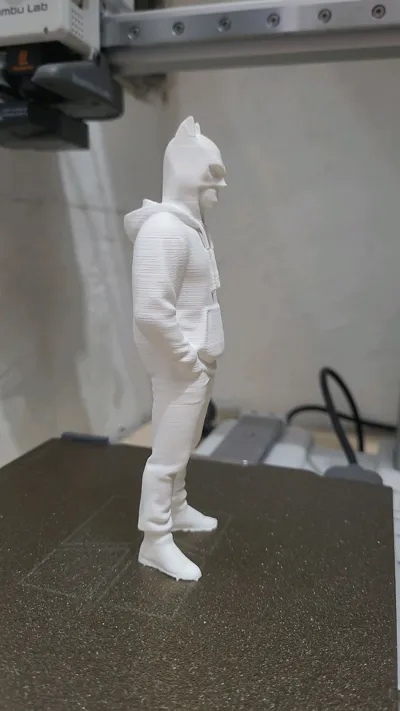 https://makerworld.bblmw.com/makerworld/model/1472759/1536951/ratings/044cee30-4ef5-11f0-864a-25601d8d6d5b.jpg