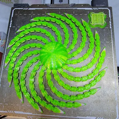 https://makerworld.bblmw.com/makerworld/model/1476653/1541682/ratings/83499d40-41ae-11f0-8ece-eb1607994512.jpg