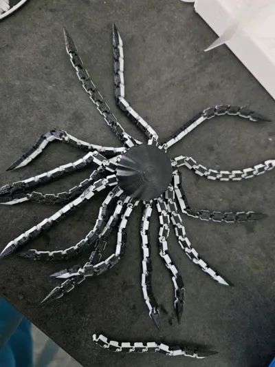https://makerworld.bblmw.com/makerworld/model/1476653/1553791/ratings/e4068e80-6ac2-11f0-aa39-b169acbf9b56.jpg