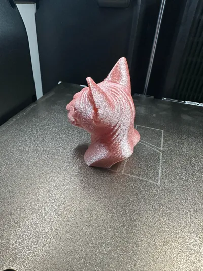 https://makerworld.bblmw.com/makerworld/model/1476719/1541401/ratings/d0411f20-762d-11f0-8fb7-1be22afae6cf.jpg