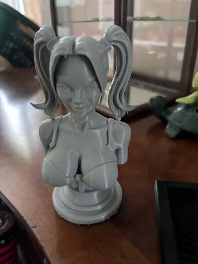 https://makerworld.bblmw.com/makerworld/model/1477196/1544005/ratings/4d7be830-5cd9-11f0-8117-3d0af8929098.jpg