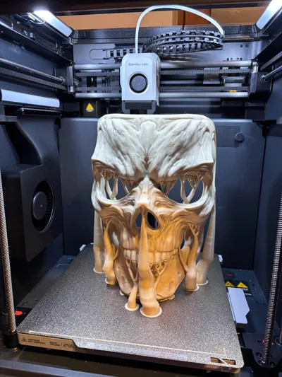 https://makerworld.bblmw.com/makerworld/model/1477413/1542230/ratings/7d99b610-a4ef-11f0-897d-9fa97776f1e7.jpg