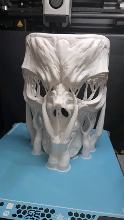 https://makerworld.bblmw.com/makerworld/model/1477413/1542230/ratings/859d8150-96be-11f0-b753-a32c95b51a2c.jpg
