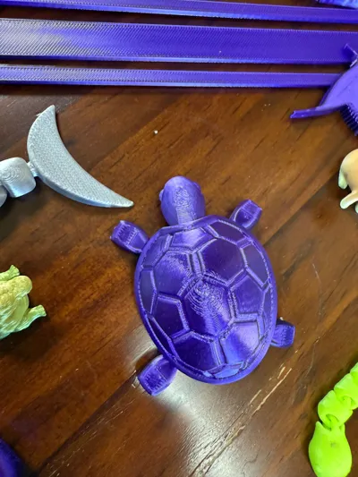 https://makerworld.bblmw.com/makerworld/model/14787/14608/ratings/a5c60fc0-1d2d-11f0-b132-8177e16eaaec.jpg