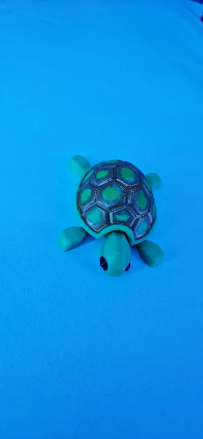https://makerworld.bblmw.com/makerworld/model/14787/86466/ratings/c0efc620-cbaf-11f0-bf8b-9317624ad60c.jpg