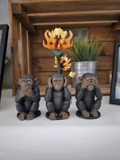 https://makerworld.bblmw.com/makerworld/model/1480088/1545327/ratings/b9df51e0-bb9f-11f0-b57e-ad0d93900464.jpg