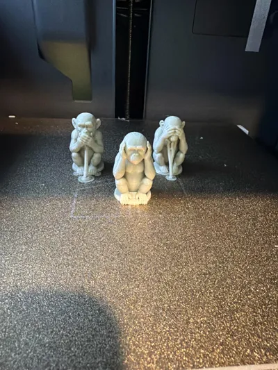 https://makerworld.bblmw.com/makerworld/model/1480088/1545327/ratings/de866e50-b764-11f0-a76f-b1caac8850a5.jpg