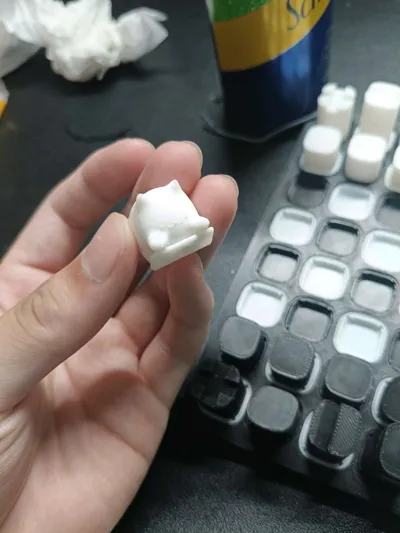 https://makerworld.bblmw.com/makerworld/model/1481712/1547284/ratings/e5f6ec60-a363-11f0-b9a5-d9dfb437e3e2.jpg