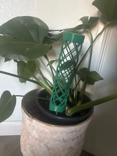 https://makerworld.bblmw.com/makerworld/model/148232/161750/ratings/1ec78780-275d-11f0-a171-e95e84a399b1.jpg