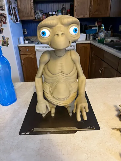 https://makerworld.bblmw.com/makerworld/model/1482780/1548548/ratings/54e41d10-4710-11f0-8313-cf3a7e9f8d32.jpg
