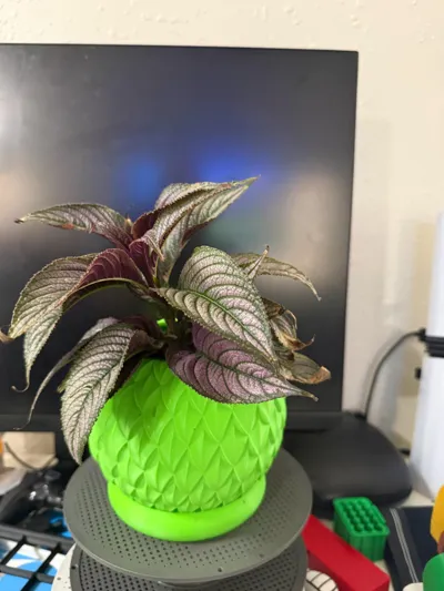 https://makerworld.bblmw.com/makerworld/model/1483727/1549753/ratings/194e4d80-e6b0-11f0-9adc-6f9e98ea737e.jpg