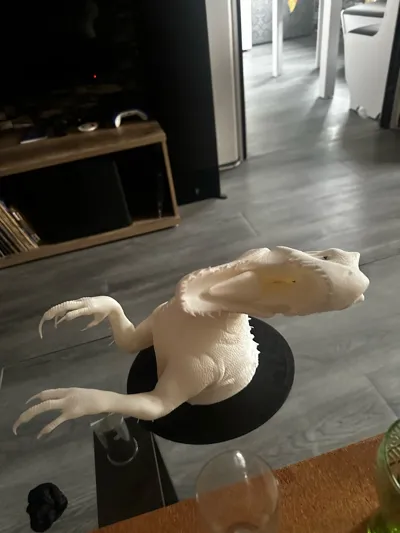 https://makerworld.bblmw.com/makerworld/model/1484222/1550351/ratings/64b46bc0-8a39-11f0-b3fc-c1cef147912e.jpg