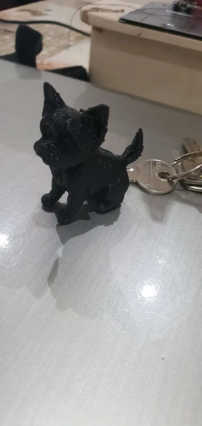 https://makerworld.bblmw.com/makerworld/model/1484593/1550778/ratings/8a9289d0-f2e4-11f0-af36-07a95df0f3c3.jpg