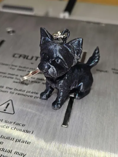 https://makerworld.bblmw.com/makerworld/model/1484593/1550778/ratings/9f111910-627c-11f0-aec9-9de617c5a66b.jpg