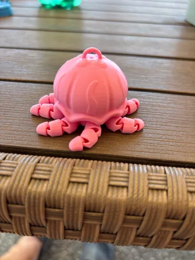 https://makerworld.bblmw.com/makerworld/model/1484999/1551311/ratings/08b06920-5729-11f0-8992-c598b4b9a1b0.jpg