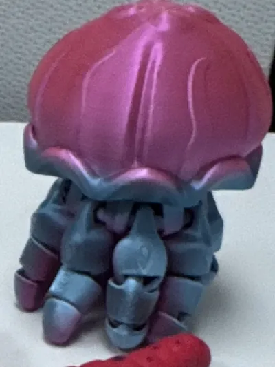 https://makerworld.bblmw.com/makerworld/model/1484999/1551311/ratings/c4af8300-e797-11f0-9c55-e59e422ed243.jpg
