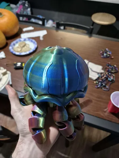 https://makerworld.bblmw.com/makerworld/model/1484999/1551311/ratings/cd95f370-ca7b-11f0-9932-b734bc1706e7.jpg