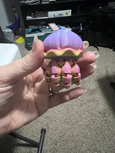 https://makerworld.bblmw.com/makerworld/model/1484999/1561780/ratings/287db8f0-583e-11f0-ac51-196ba4fd241c.jpg