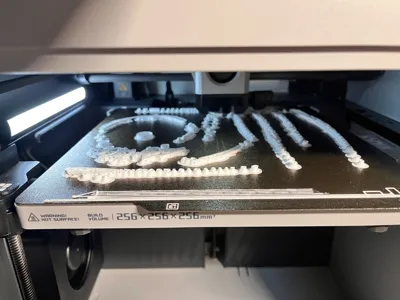 https://makerworld.bblmw.com/makerworld/model/1485409/1551862/ratings/ba7ac750-b056-11f0-97e0-a7bc85e93061.jpg
