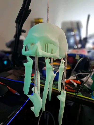 https://makerworld.bblmw.com/makerworld/model/1485409/1551862/ratings/e74fabe0-61f7-11f0-8d5d-8dd6f98b19b0.jpg