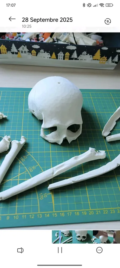 https://makerworld.bblmw.com/makerworld/model/1485409/1573869/ratings/29306e30-a06b-11f0-86a5-33e5087eb317.jpg