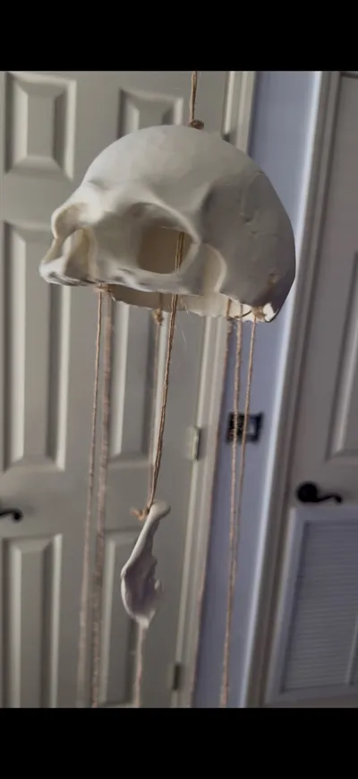https://makerworld.bblmw.com/makerworld/model/1485409/1765599/ratings/2bde4740-f248-11f0-bc1e-756777429a36.jpg