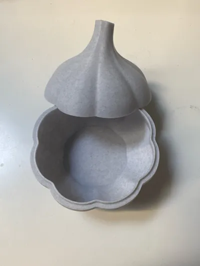 https://makerworld.bblmw.com/makerworld/model/1485746/1552276/ratings/8c1cc860-69e1-11f0-8260-0dcb98a1e354.jpg
