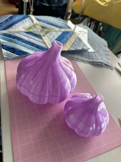 https://makerworld.bblmw.com/makerworld/model/1485746/1552276/ratings/b7aff750-bbb6-11f0-a030-bdd6d2a87539.jpg