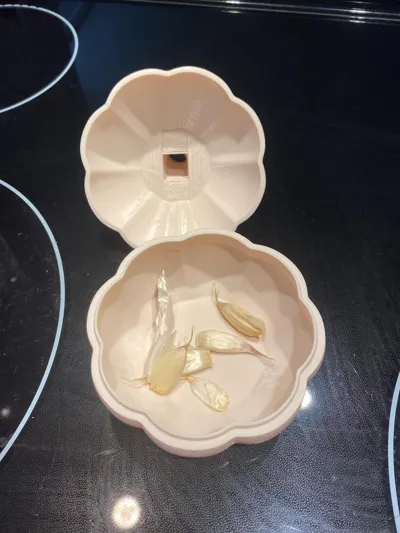 https://makerworld.bblmw.com/makerworld/model/1485746/1552276/ratings/f9c771f0-6016-11f0-b75f-f9835a88dd1f.jpg