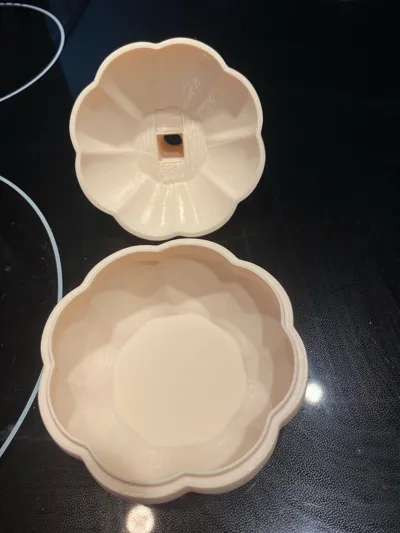 https://makerworld.bblmw.com/makerworld/model/1485746/1552276/ratings/f9cffd70-6016-11f0-b75f-f9835a88dd1f.jpg