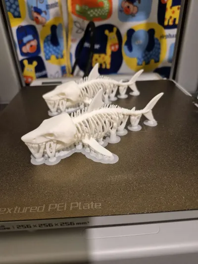 https://makerworld.bblmw.com/makerworld/model/1486754/1553485/ratings/4336a530-4a4c-11f0-8a62-177461bed126.jpg