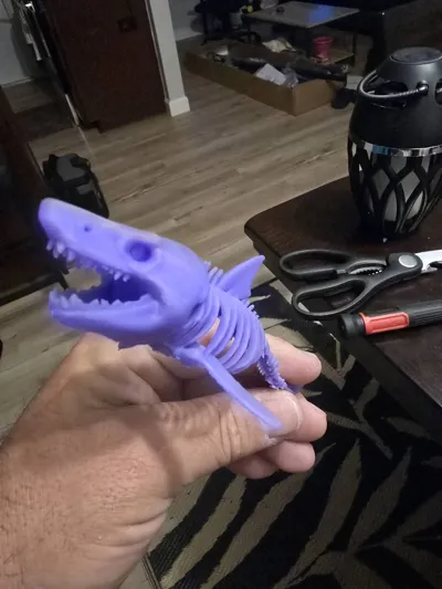 https://makerworld.bblmw.com/makerworld/model/1486754/1553485/ratings/b73f3400-459d-11f0-8fc1-958d6f6bdb53.jpg