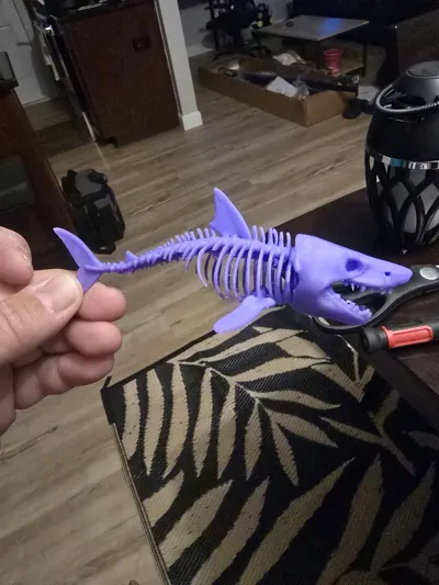 https://makerworld.bblmw.com/makerworld/model/1486754/1553485/ratings/b741a500-459d-11f0-8fc1-958d6f6bdb53.jpg