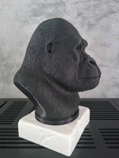 https://makerworld.bblmw.com/makerworld/model/1487253/1554262/ratings/f03a3670-50cd-11f0-bb2d-fda700a436e9.jpg