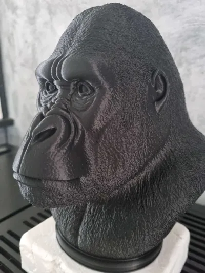 https://makerworld.bblmw.com/makerworld/model/1487253/1554262/ratings/f04ea8d0-50cd-11f0-bb2d-fda700a436e9.jpg