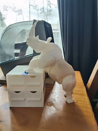 https://makerworld.bblmw.com/makerworld/model/1488858/1555882/ratings/e60bc1f0-f72b-11f0-a059-e9adc7135da2.jpg