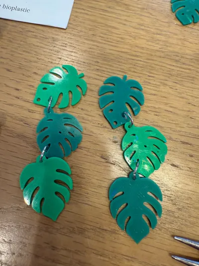 https://makerworld.bblmw.com/makerworld/model/1489242/1556346/ratings/4f1414c0-5f94-11f0-bd75-7b371b050d40.jpg