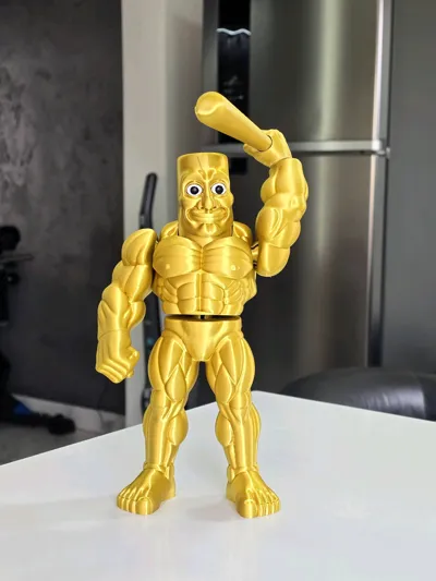 https://makerworld.bblmw.com/makerworld/model/1489883/1557077/ratings/def4a3b0-aa22-11f0-9fe6-4f6488e0b964.jpg