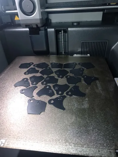https://makerworld.bblmw.com/makerworld/model/149224/1613751/ratings/cd81b890-f7b4-11f0-aaea-5508272b8024.jpg
