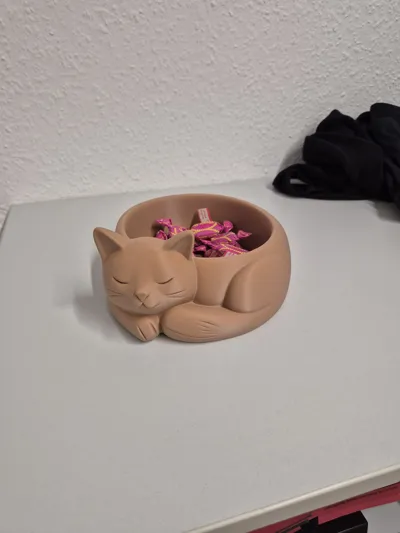 https://makerworld.bblmw.com/makerworld/model/1492428/1560236/ratings/1f4c7060-c318-11f0-8349-51ed5cb749f3.jpg