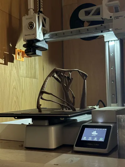 https://makerworld.bblmw.com/makerworld/model/1495245/1563484/ratings/74132500-6e0c-11f0-bc80-0799d3dcec40.jpg