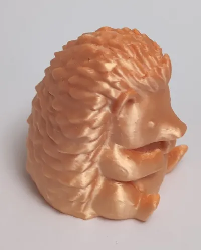 https://makerworld.bblmw.com/makerworld/model/1495384/1589352/ratings/fc577660-cba8-11f0-8373-790faa47043f.jpg