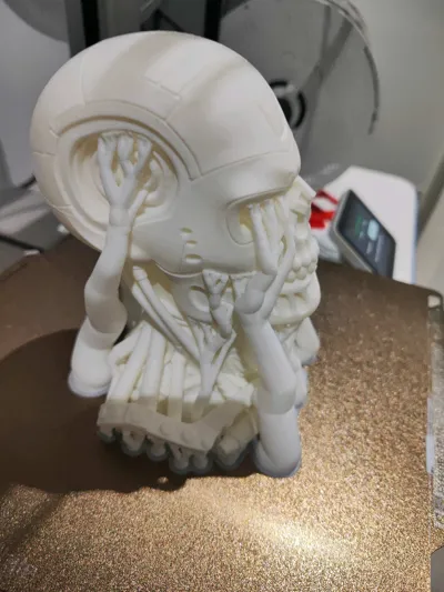 https://makerworld.bblmw.com/makerworld/model/1495703/1564021/ratings/a68e0800-a071-11f0-a4ab-f95aca78fb1e.jpg