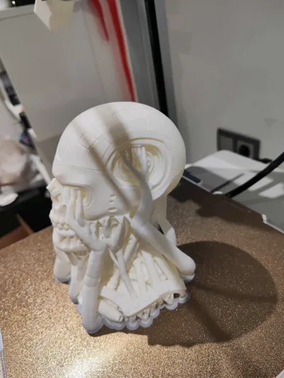 https://makerworld.bblmw.com/makerworld/model/1495703/1564021/ratings/a6977de0-a071-11f0-a4ab-f95aca78fb1e.jpg