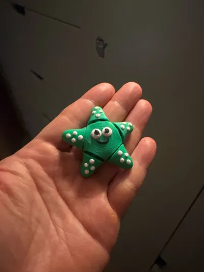 https://makerworld.bblmw.com/makerworld/model/1497410/1566009/ratings/bfb16a30-4f62-11f0-8c27-1f83af07e6f1.jpg