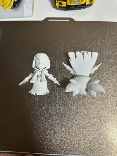 https://makerworld.bblmw.com/makerworld/model/1498289/1670405/ratings/8ed980f0-7893-11f0-b239-39bdc8a4e2a5.jpg